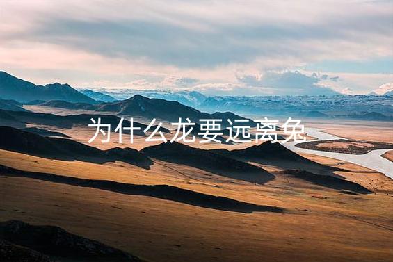 为什么龙要远离兔缩略图