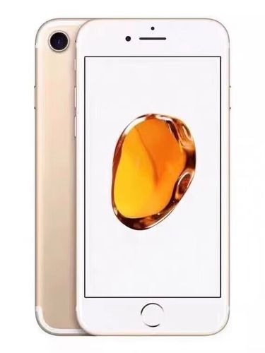 苹果7p强制解锁教程游戏截图