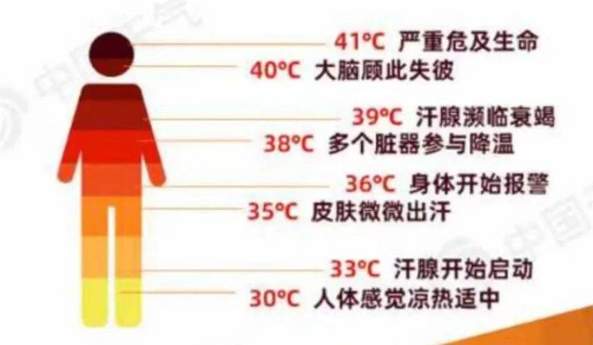 人体能承受最低温度是多少度缩略图