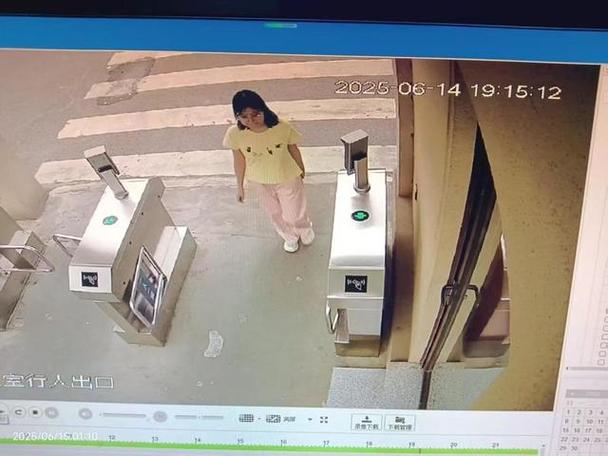 家里监控突然就看不到了游戏截图
