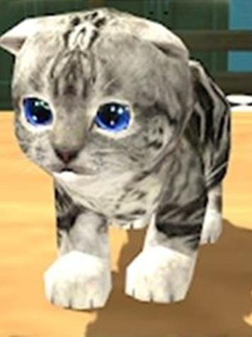 猫咪模拟器3D旧版本缩略图