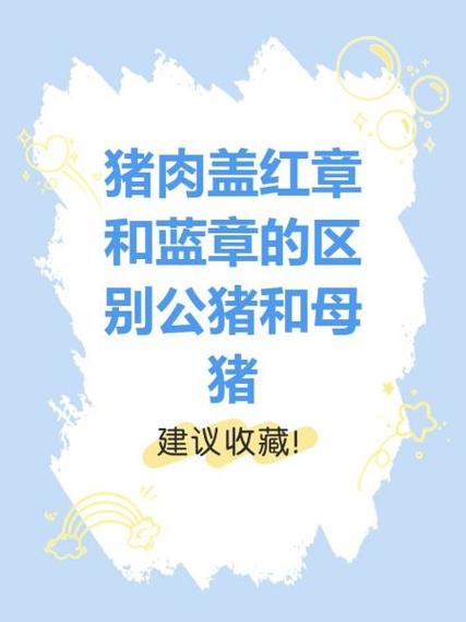 公猪肉和母猪肉的印章游戏截图