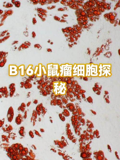 工作细胞在哪看图标