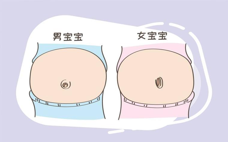 肚脐眼突出一定生女孩缩略图