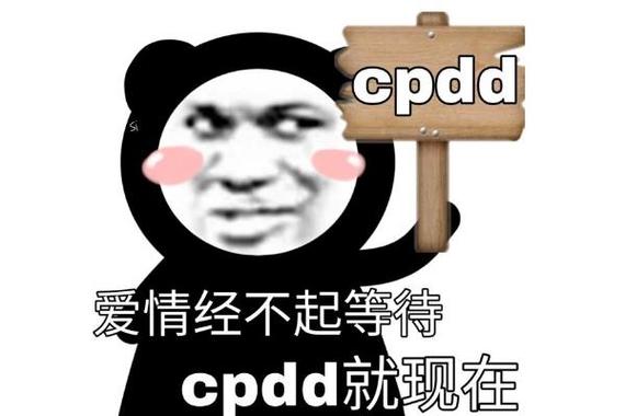 女生说cpdd是什么意思啊游戏截图