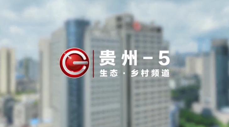 生态环境频道 总台缩略图