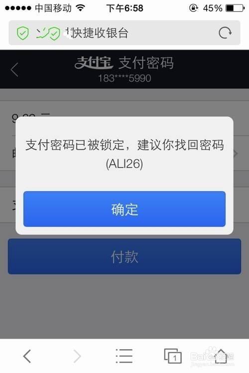 支付宝密码被别人知道缩略图