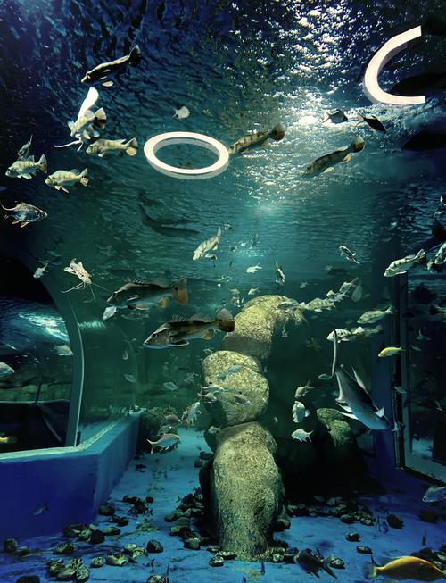 深海水族馆破解缩略图
