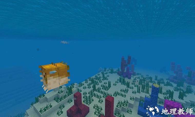 我的世界海洋版下载1.13正式版缩略图
