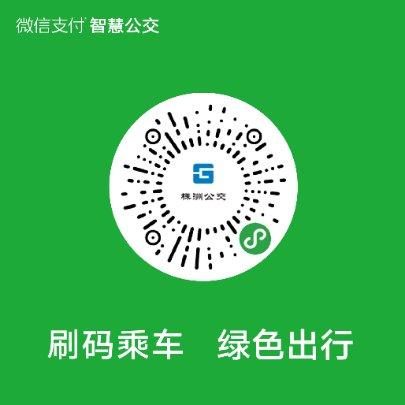 公交车乘车码下载什么软件游戏截图