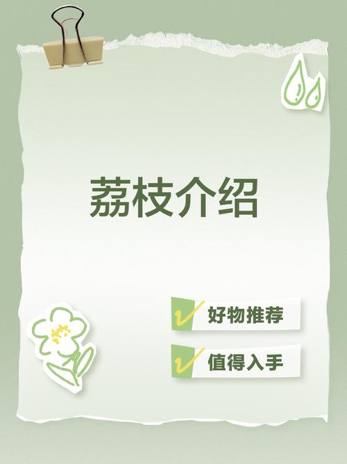荔枝fm如何赚钱学生党缩略图