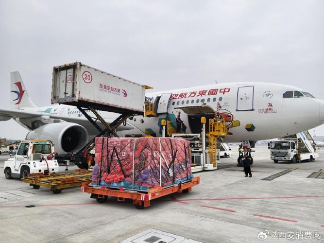 东航货运查询系统cargo2