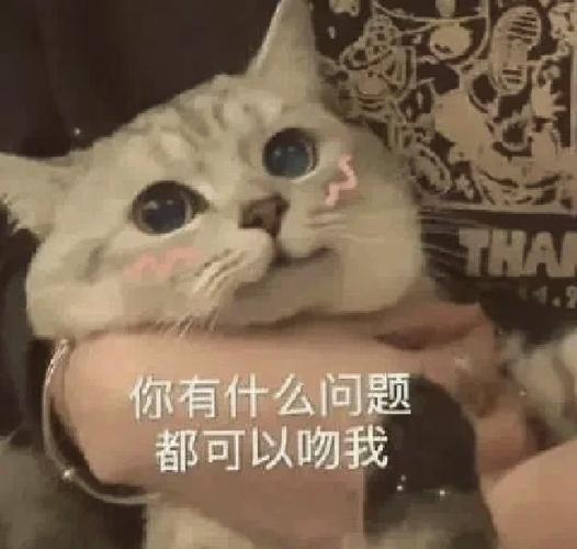 什么叫亲亲缩略图
