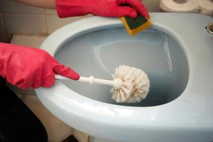 怎样打开马桶储水箱盖游戏截图