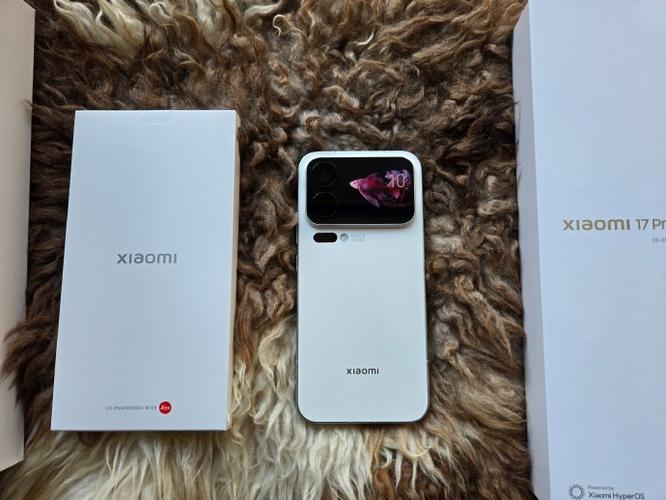 小米17promax游戏截图