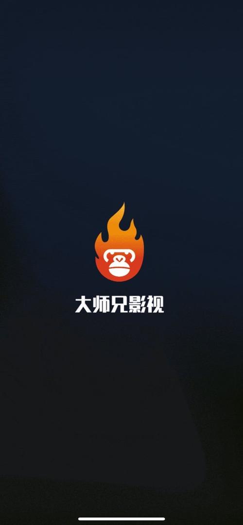 新大师兄影视官方正版缩略图