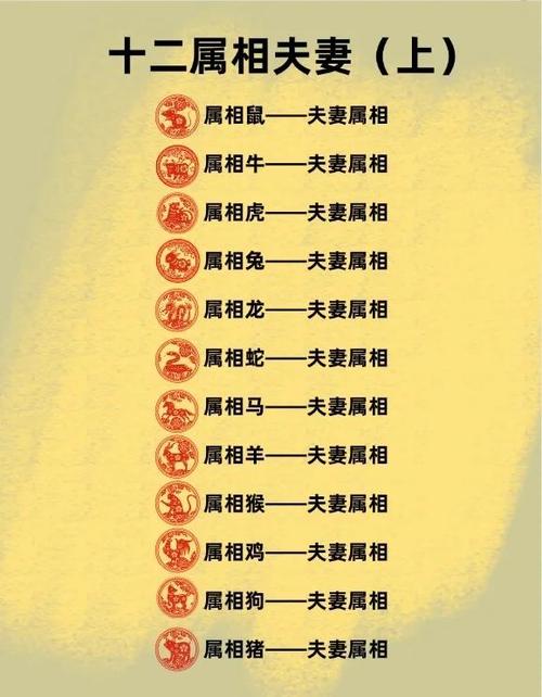 属羊男人最佳妻子缩略图