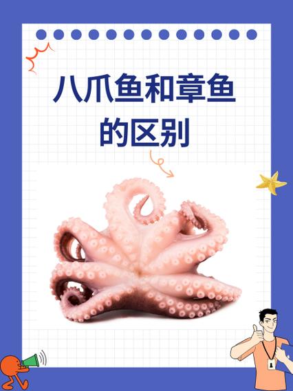 八爪鱼官网缩略图