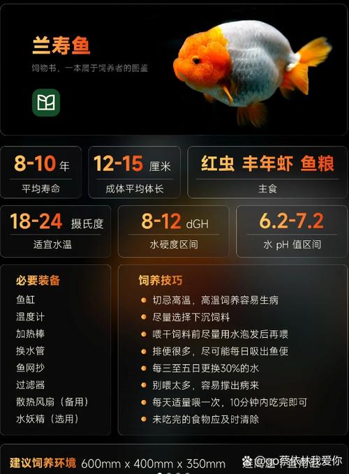 鱼寿命一般多少年缩略图