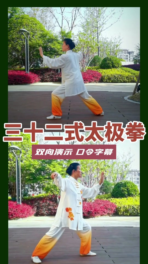邱慧芳32式太极拳背向演练带口令缩略图