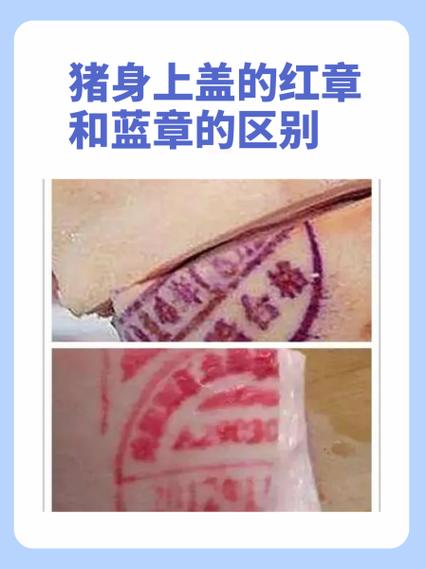 猪肉印红章和蓝章的区别缩略图