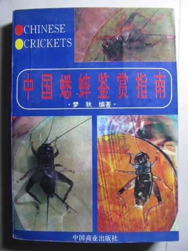 家里进蛐蛐怎么赶走游戏截图