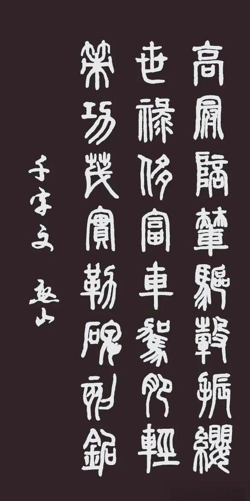大篆与小篆的区别图标