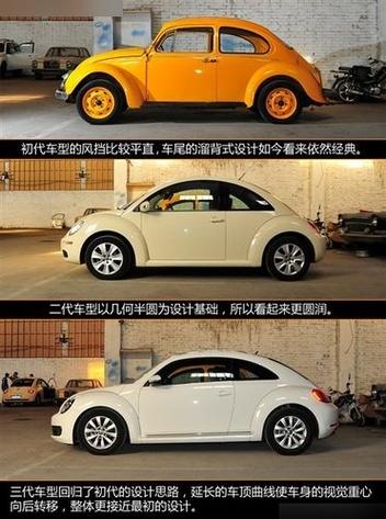 常见甲壳虫100种图片游戏截图