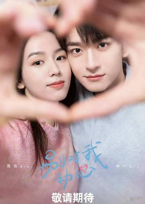 电视免费观看电视剧大全在线观看缩略图