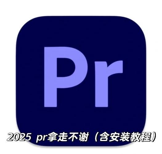pr汉化补丁安装教程游戏截图