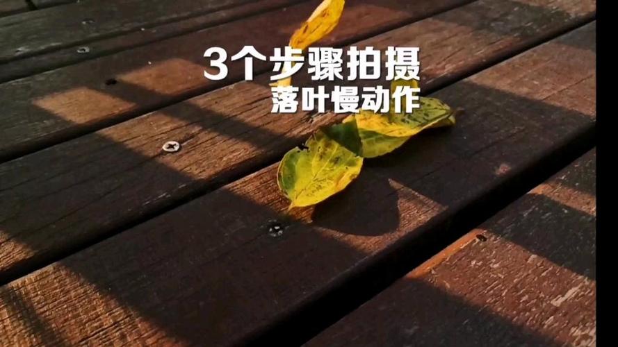 慢动作视频怎么拍缩略图