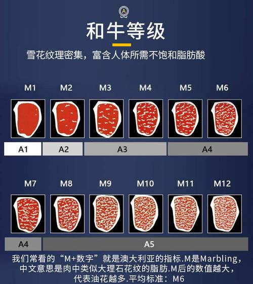属性m1到m9是什么意思缩略图