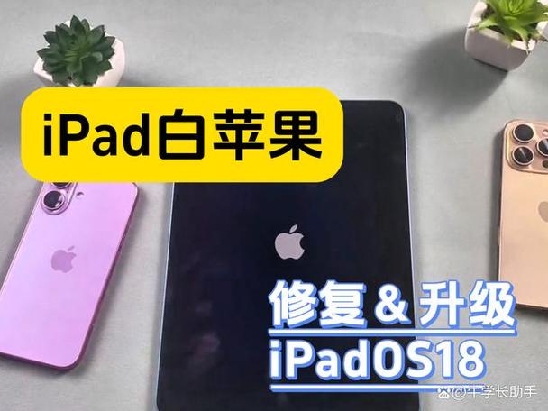 ipad一直卡在一个界面怎么办游戏截图
