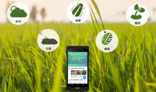 抓包精灵缩略图