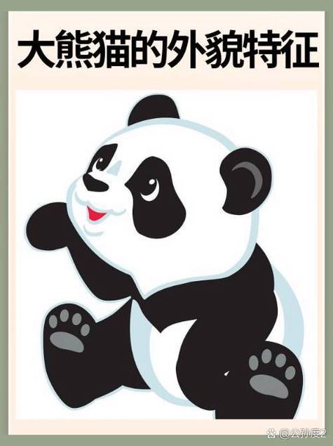 大熊猫的皮肤特征缩略图