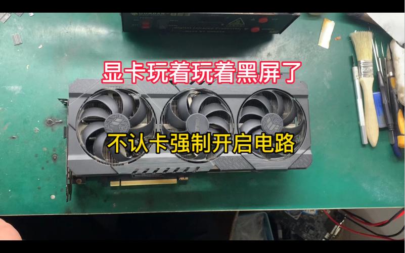显卡玩着玩着就黑屏了游戏截图
