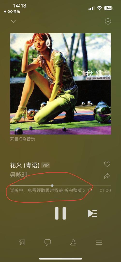 qq音乐vip才能听的歌曲游戏截图