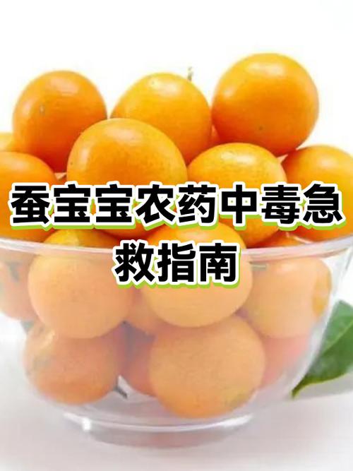 如何让自己快速中毒缩略图