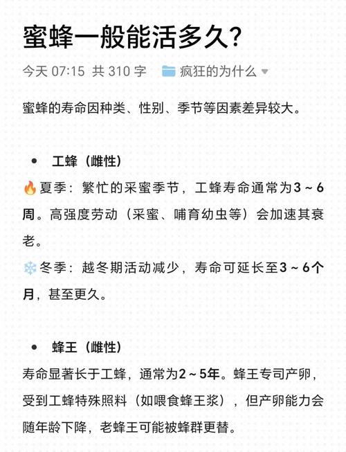 蜜蜂的寿命一般有多长缩略图