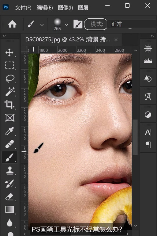 ps看不到画笔的轮廓图标
