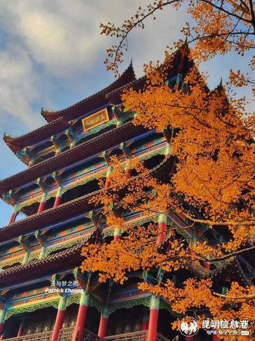 宝藏阁游戏截图