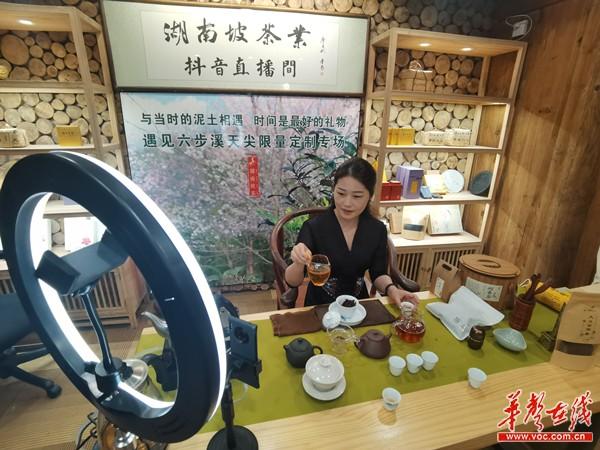 红茶绿茶茶叶直播缩略图