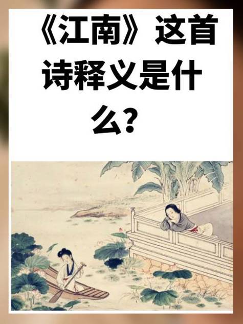 江南第一媳到底讲什么缩略图