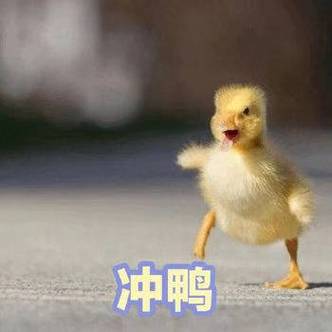 小黄鸭 冲鸭缩略图