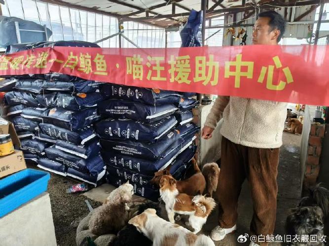 白鲸捐衣服游戏截图