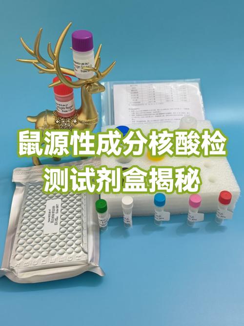 核酸检测检测的是什么核酸缩略图