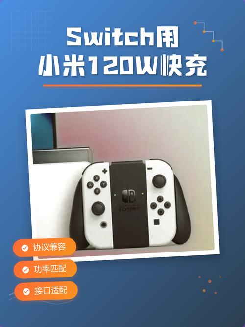 switch快充支持多少w缩略图