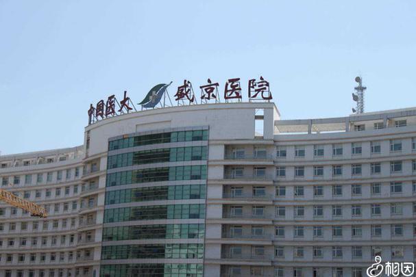 盛京医院地址缩略图
