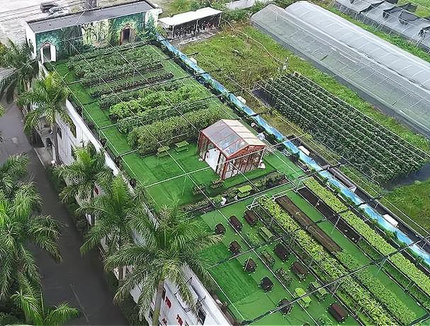 开个农场挣钱吗缩略图