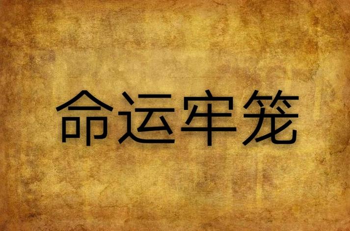 命运的牢笼TXT下载缩略图